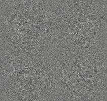 Линолеум IVC Inter SAMSON T94 фото 1 | FLOORDEALER